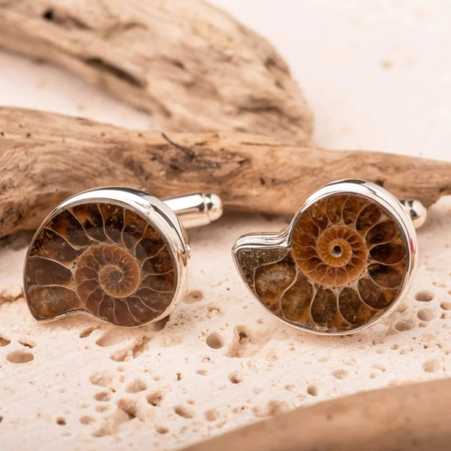 Ammonite Cufflinks
