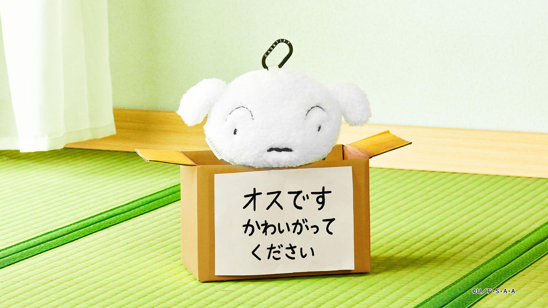 Shiro Plush Pouch