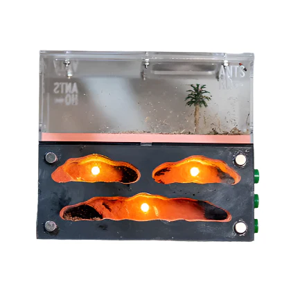 Light-Up Ant Farm Nest Starter Kit