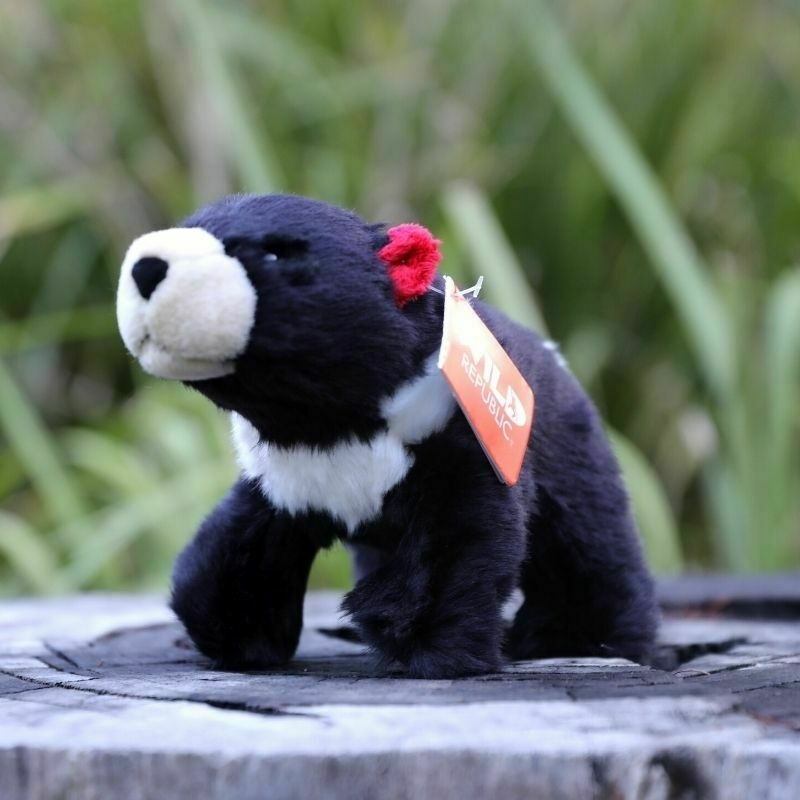 Tasmanian Devil Plush Toy