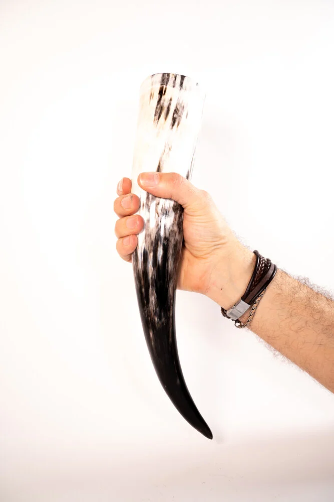 Drinking Horn - Two Sizes