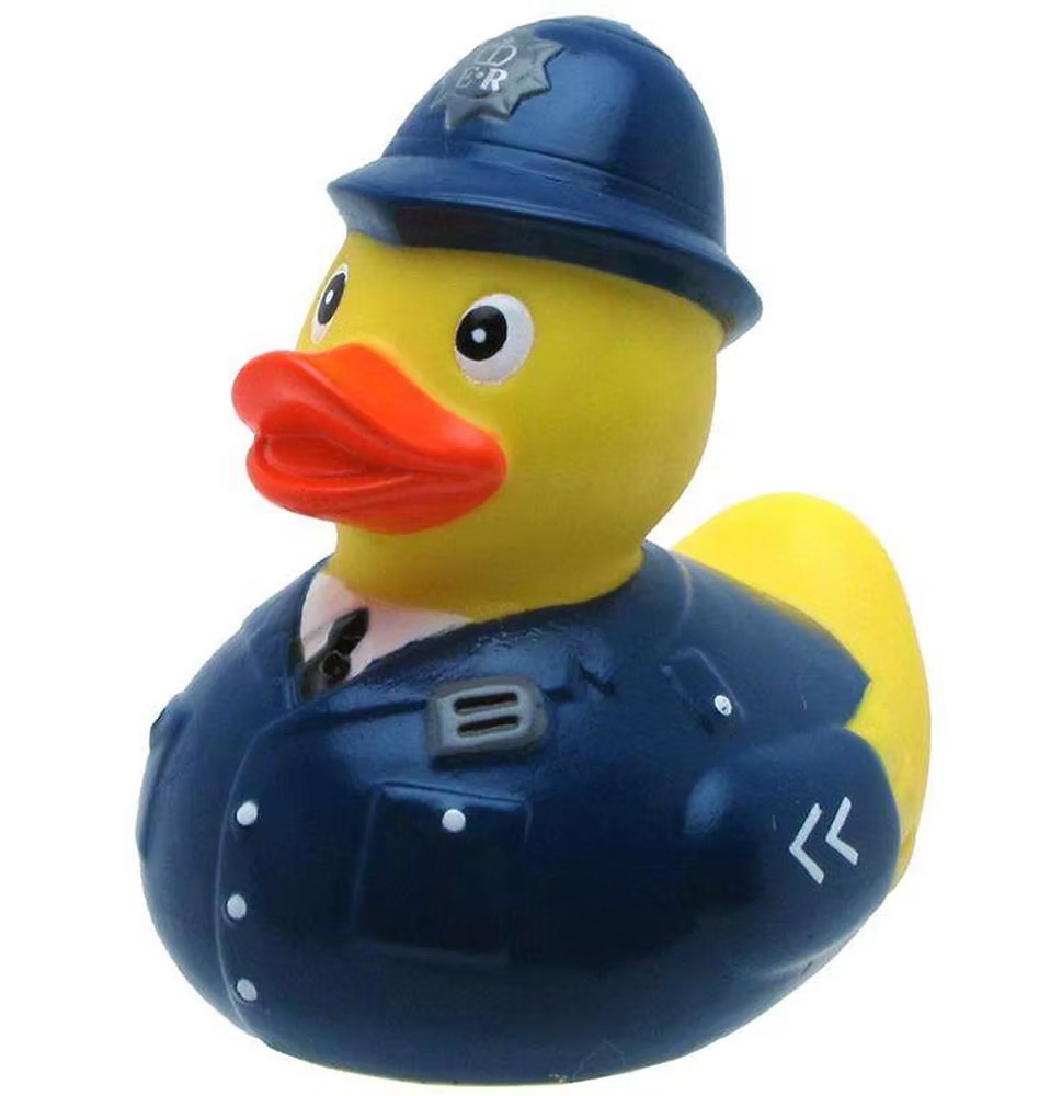 Duck