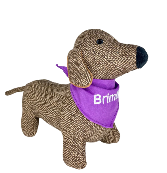 Brimble - The St Paul's Dachshund