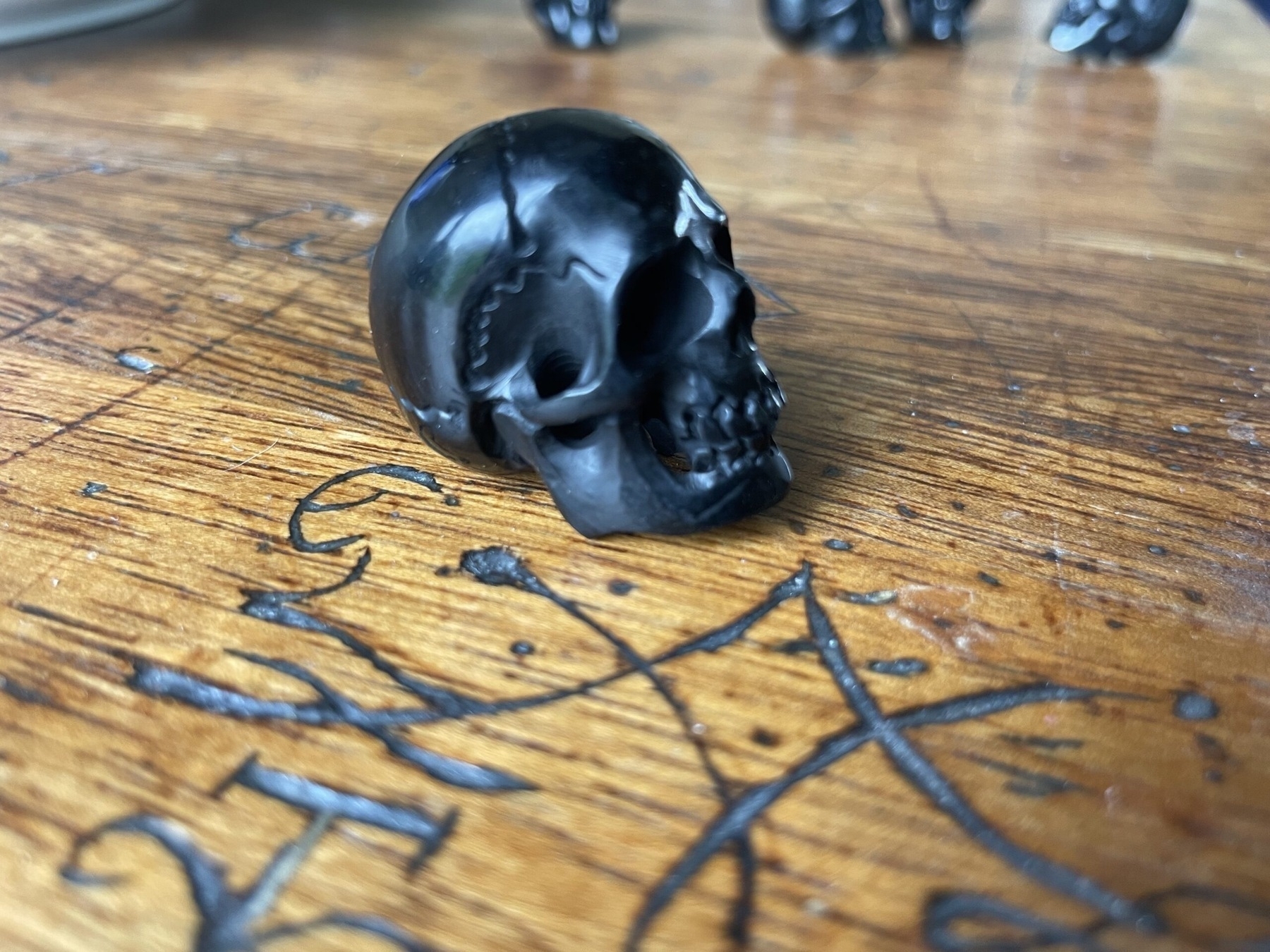 Buffalo Horn Human Skull