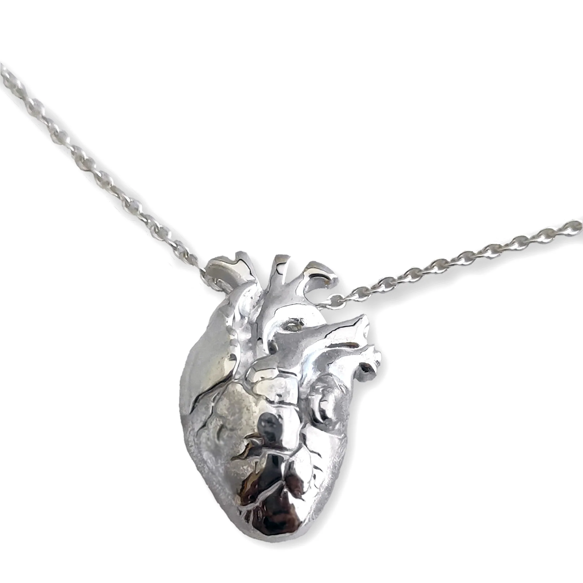 SHM Anatomical Heart Necklace